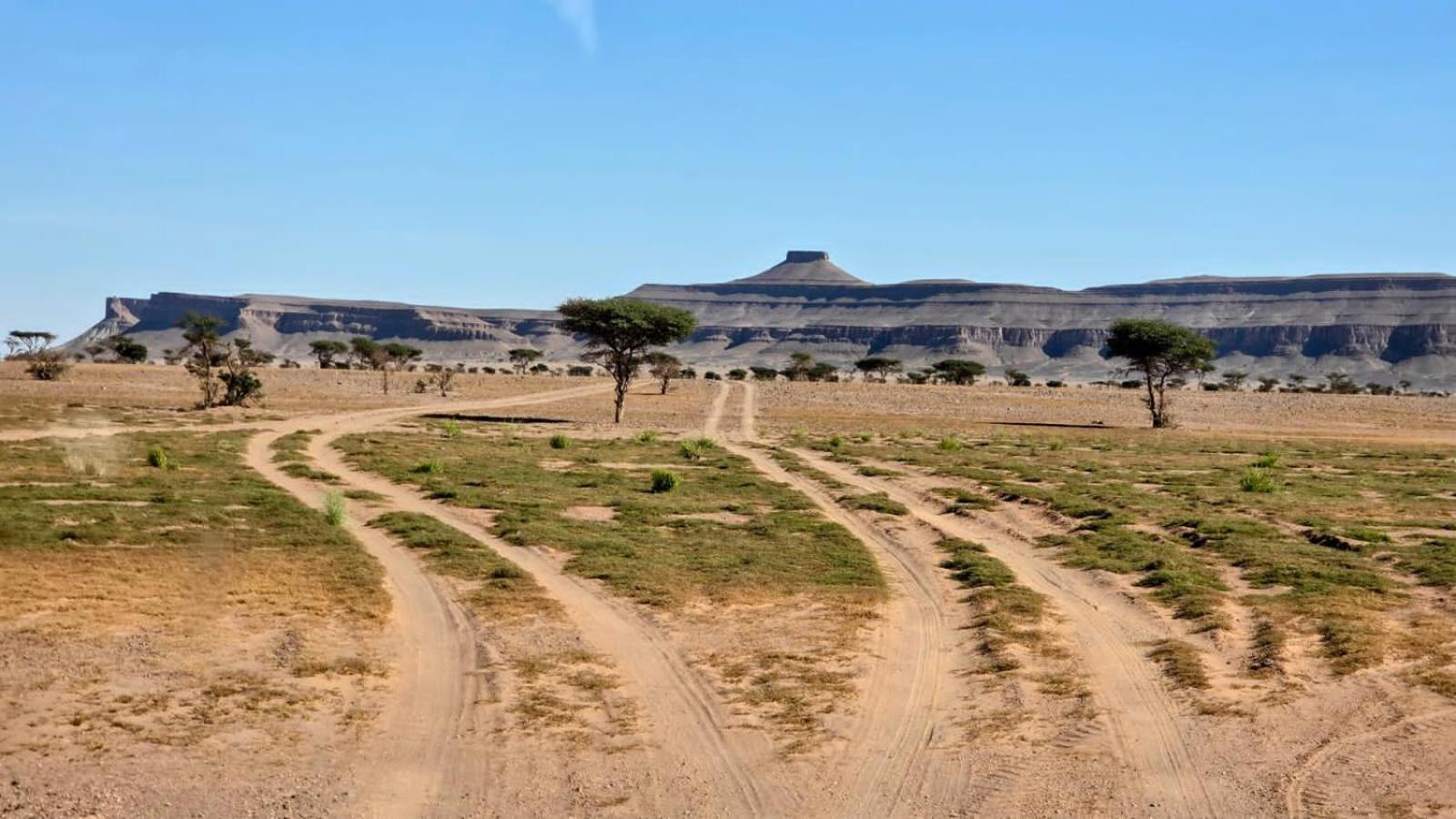Bivouac Cote-Iriki Hotel Foum Zguid Luaran gambar