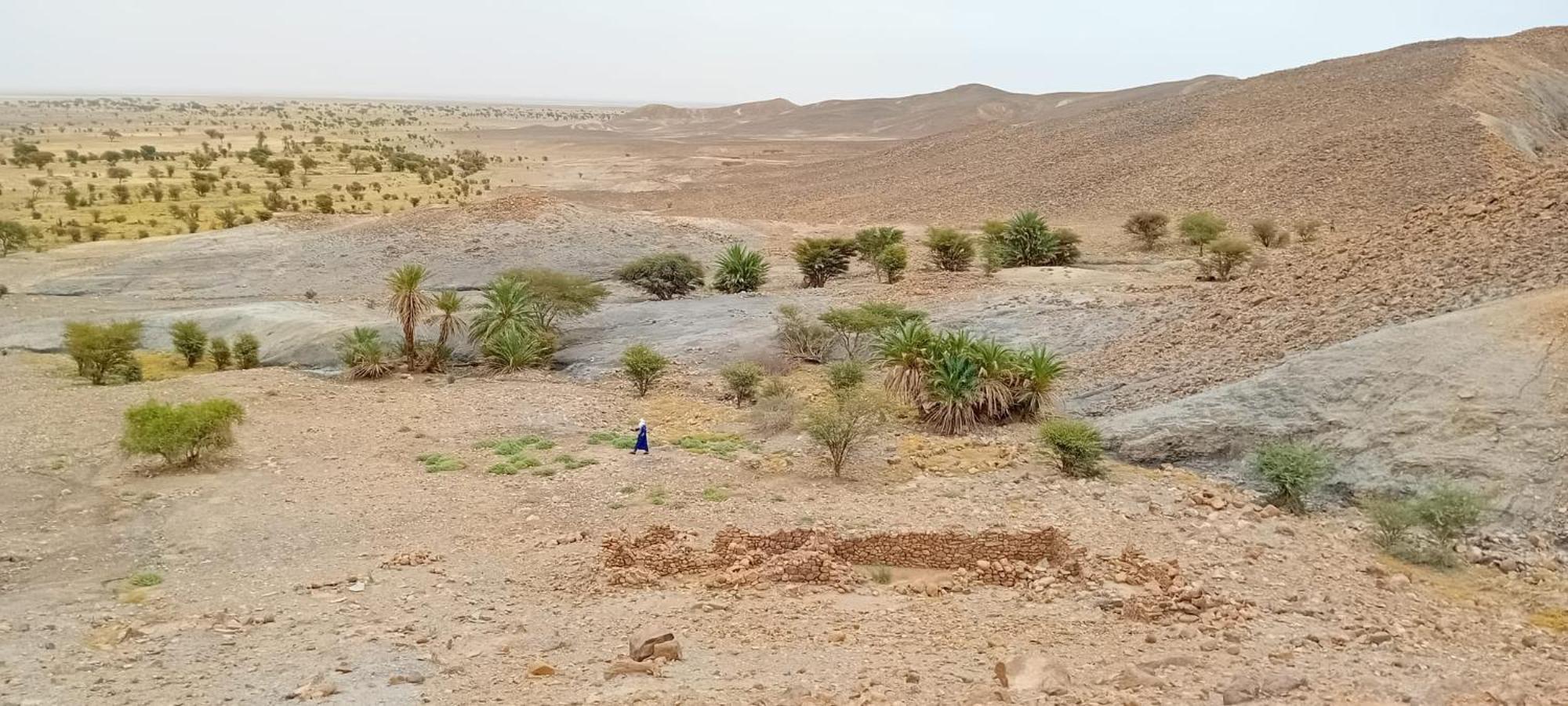 Bivouac Cote-Iriki Hotel Foum Zguid Luaran gambar