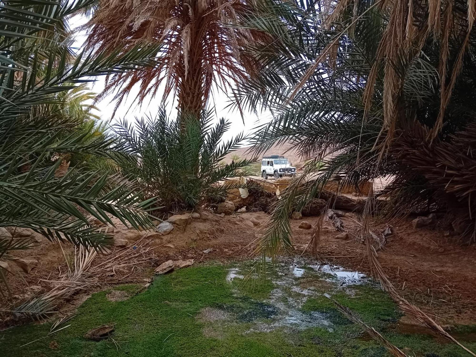 Bivouac Cote-Iriki Hotel Foum Zguid Luaran gambar